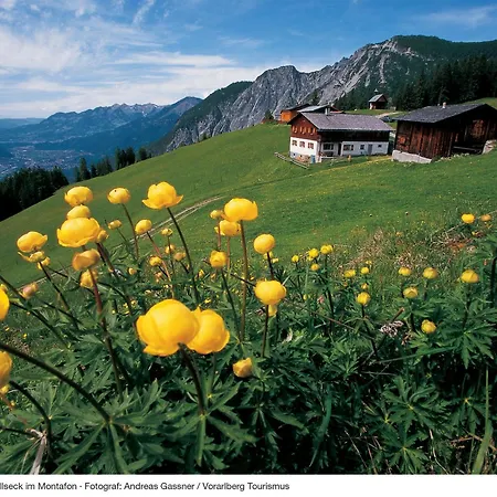 Apart Otel Alpine Am Arlberg Klosterle am Arlberg