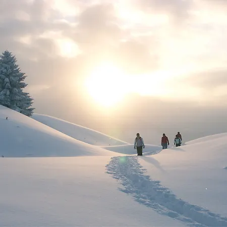 Alpine Am Arlberg Apartahotel