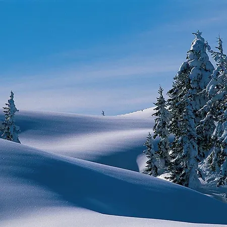 Alpine 3* Klosterle am Arlberg