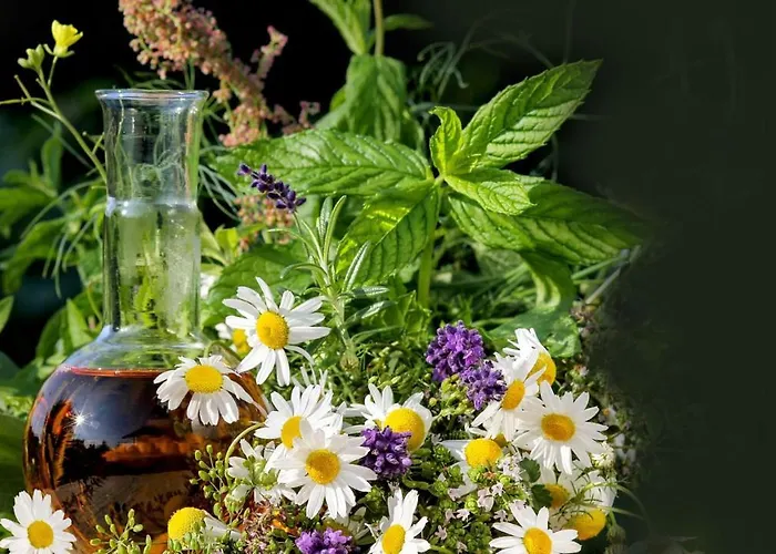 Alpine Am Arlberg 4*