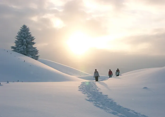 Alpine Am Arlberg 公寓式酒店